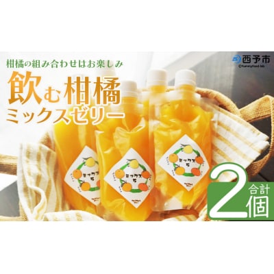 <つるんと食感の飲む柑橘ミックスゼリー2個>渡江　愛媛　みかん　おいしい