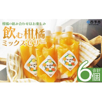 <つるんと食感の飲む柑橘ミックスゼリー6個>渡江　愛媛　みかん　おいしい