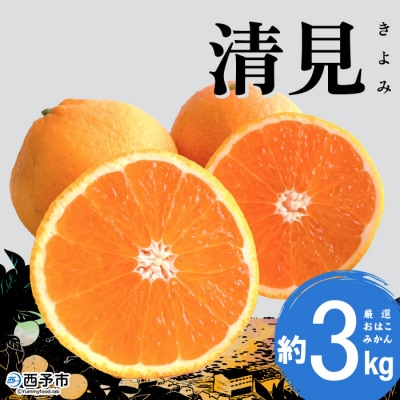 【先行受付】おはこやがつくる　清見　約3kg果物 フルーツ 柑橘