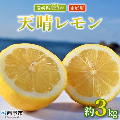 天晴レモン　ご家庭用　約3kg 愛媛 えひめ レモン おいしい　果物