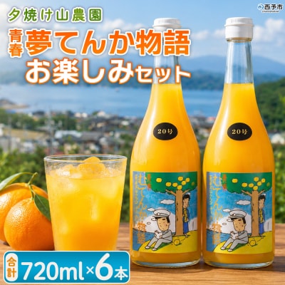 <青春 夢てんか物語おまかせセット6本>夕焼け山農園　えひめ　愛媛　おいしい