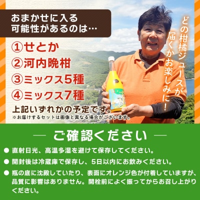 <青春 夢てんか物語おまかせセット6本>夕焼け山農園　えひめ　愛媛　おいしい