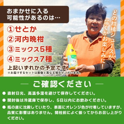 <青春 夢てんか物語おまかせセット3本>夕焼け山農園　えひめ　愛媛　おいしい
