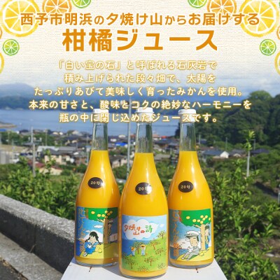 <青春 夢てんか物語6本>『1か月以内に順次出荷予定』夕焼け山　えひめ　愛媛