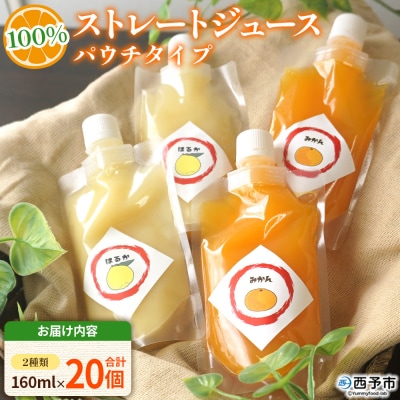 100%ストレートジュース パウチタイプおまかせ 160ml(各2種類×10セット) 計20個　愛媛