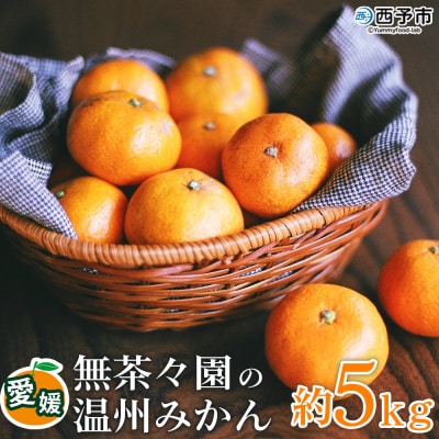 【先行受付】 <無茶々園 温州みかん 約5kg>無茶々園 みかん 愛媛 えひめ