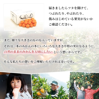 【先行受付】 <無茶々園 温州みかん 約5kg>無茶々園 みかん 愛媛 えひめ