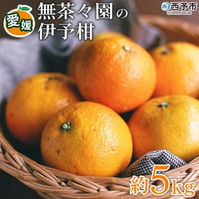 【先行受付】無茶々園の伊予柑　5kg　おいしい　えひめ　柑橘　愛媛