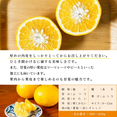  <無茶々園の甘夏 約5kg> 果物 あまなつ みかん ミカン 蜜柑 柑橘 フルーツ 期間限定