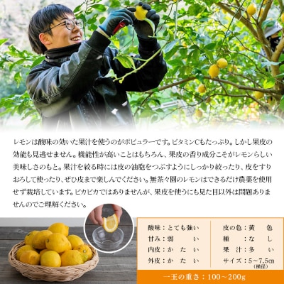 【先行受付】<無茶々園のレモンレモンの本 約1kg 愛媛 えひめ>果物 おいしい