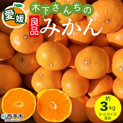 <木下さんちのみかん 良品 約3kg柑橘類 温州みかん 愛媛 木下農園>