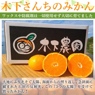 <木下さんちのみかん 良品 約3kg柑橘類 温州みかん 愛媛 木下農園>