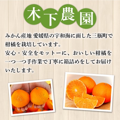<木下さんちのみかん 良品 約3kg柑橘類 温州みかん 愛媛 木下農園>
