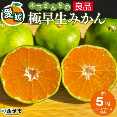 <木下さんちの極早生みかん 良品 約5kg 木下農園 愛媛 えひめ みかん>