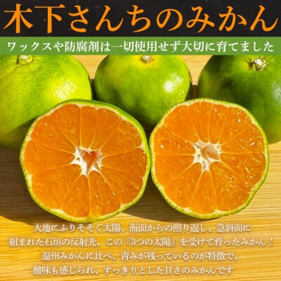 <木下さんちの極早生みかん 良品 約5kg 木下農園 愛媛 えひめ みかん>