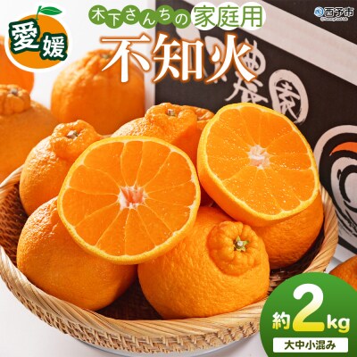 <木下さんちの不知火 家庭用 約2kgしらぬい でこぽん 愛媛 えひめ>