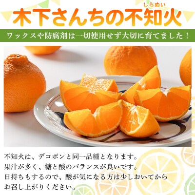 <木下さんちの不知火 家庭用 約2kgしらぬい でこぽん 愛媛 えひめ>