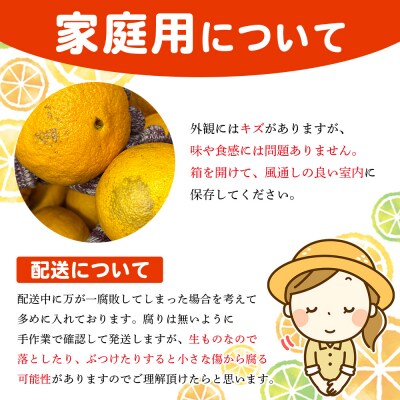 <木下さんちの不知火 家庭用 約2kgしらぬい でこぽん 愛媛 えひめ>