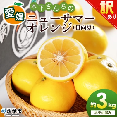 <木下さんちのニューサマーオレンジ 約3kg 訳アリ 愛媛 えひめ 木下農園>
