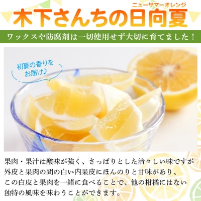 <木下さんちのニューサマーオレンジ 約3kg 訳アリ 愛媛 えひめ 木下農園>