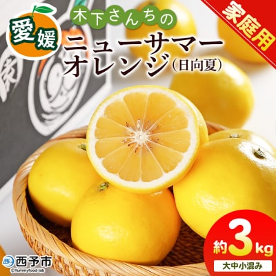 <木下さんちのニューサマーオレンジ 約3kg 家庭用 愛媛 えひめ 木下農園>