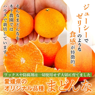 紅まどんなと同品種!<木下さんちのまどんな 訳あり 約2.5kg>愛媛 えひめ