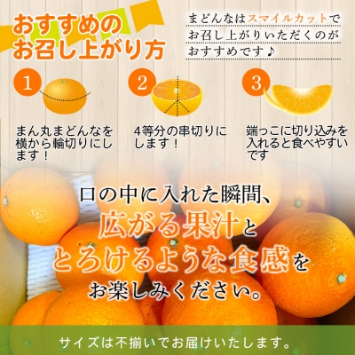 紅まどんなと同品種!<木下さんちのまどんな 訳あり 約2.5kg>愛媛 えひめ
