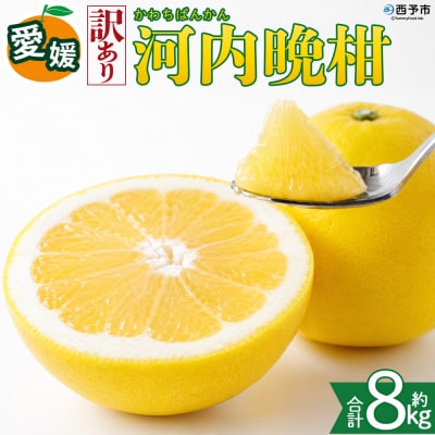 <【訳あり】愛媛県産 河内晩柑 約8kg 三代目みかん職人 愛媛 えひめ>