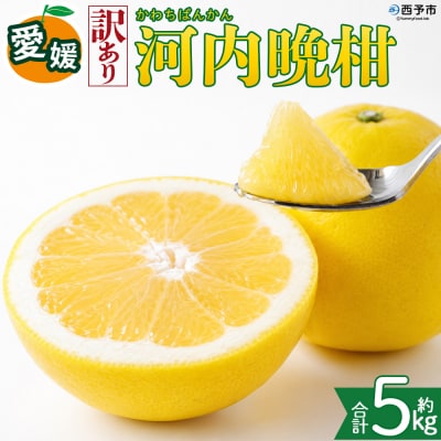<【訳あり】愛媛県産 河内晩柑 約5kg 三代目みかん職人 愛媛 えひめ>