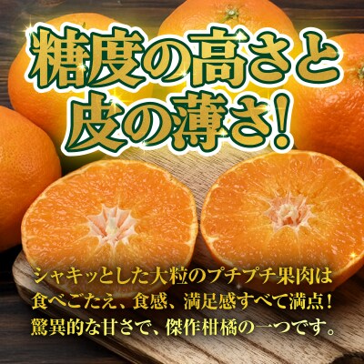 <【訳あり】愛媛県産 甘平 約1.5kg 三代目みかん職人 愛媛 えひめ>