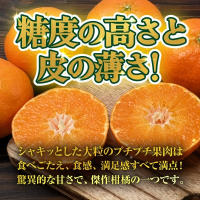 <【訳あり】愛媛県産 甘平 約3kg 三代目みかん職人 愛媛 えひめ>おいしい