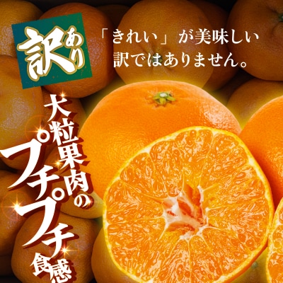 <【訳あり】愛媛県産 甘平 約3kg 三代目みかん職人 愛媛 えひめ>おいしい