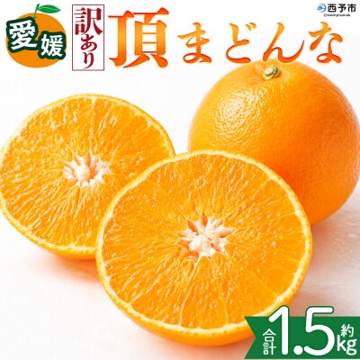 <【訳あり】愛媛県産 頂まどんな 約1.5kg  高級柑橘 三代目みかん職人>愛媛 えひめ