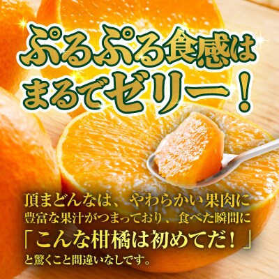 <【訳あり】愛媛県産 頂まどんな 約1.5kg  高級柑橘 三代目みかん職人>愛媛 えひめ