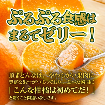 【大好評】<訳あり愛媛県産 頂まどんな 約3kg 高級柑橘 三代目みかん職人>愛媛 えひめ 数量限定