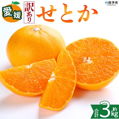 <【訳あり】愛媛県産 せとか 約3kg ミカン 高級柑橘 三代目みかん職人>