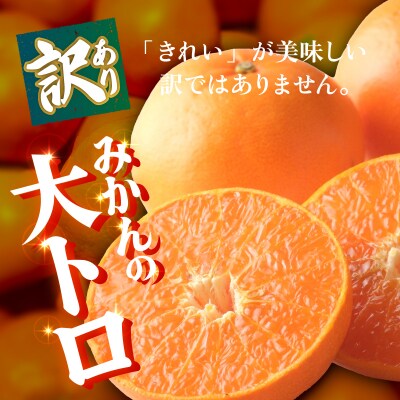 <【訳あり】愛媛県産 せとか 約3kg ミカン 高級柑橘 三代目みかん職人>