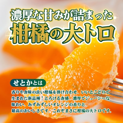 <【訳あり】愛媛県産 せとか 約3kg ミカン 高級柑橘 三代目みかん職人>