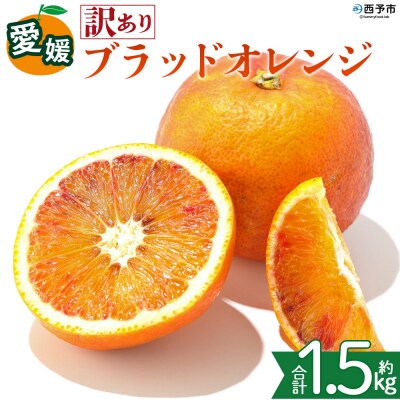 <【訳あり】愛媛県産 ブラッドオレンジ 約1.5kg 蜜柑 果物 くだもの>