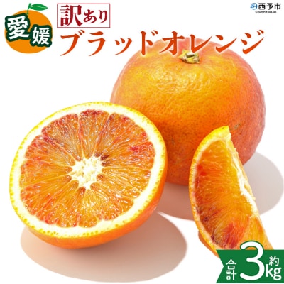 <【訳あり】愛媛県産 ブラッドオレンジ 約3kg 蜜柑 果物 くだもの>