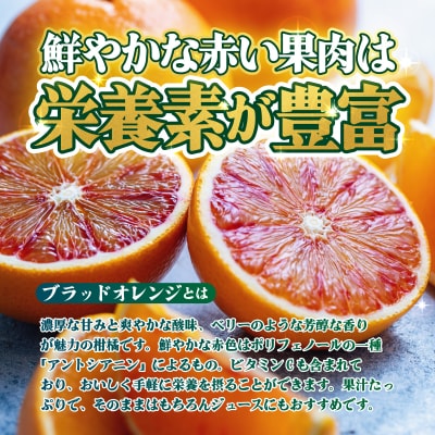 <【訳あり】愛媛県産 ブラッドオレンジ 約3kg 蜜柑 果物 くだもの>