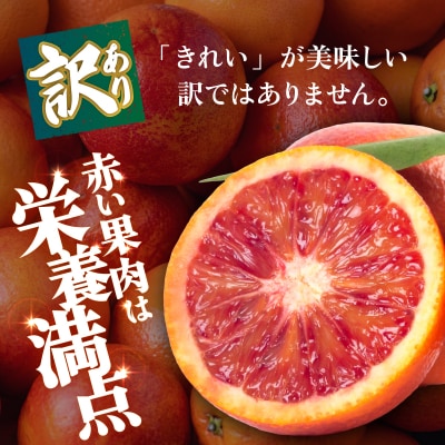<【訳あり】愛媛県産 ブラッドオレンジ 約3kg 蜜柑 果物 くだもの>