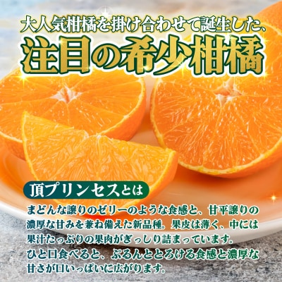 <【訳あり】愛媛県産 頂プリンセス 約1kg 蜜柑 果物 くだもの 三代目みかん職人>
