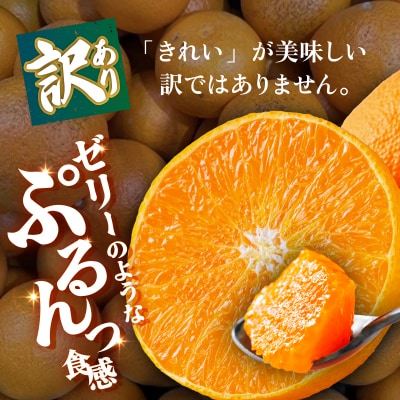 <【訳あり】愛媛県産 頂プリンセス 約1kg 蜜柑 果物 くだもの 三代目みかん職人>