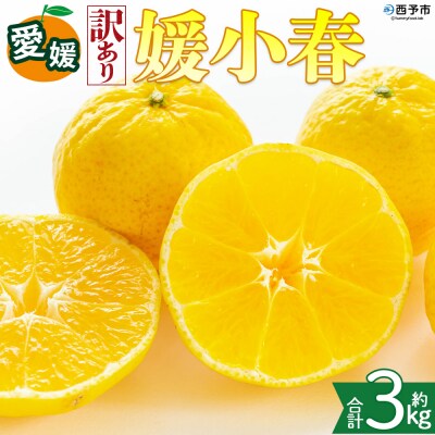<【訳あり】愛媛県産 媛小春 約3kg 高級柑橘 三代目みかん職人>愛媛