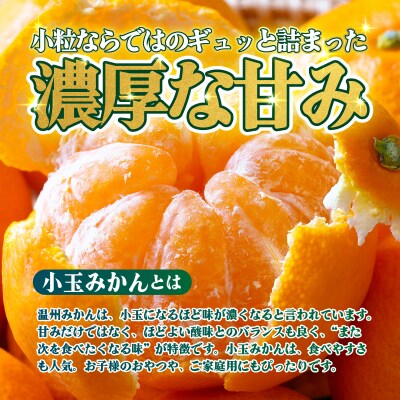 <【訳あり】愛媛県産 小玉みかん 約2kg 小さい こだま 愛媛 えひめ >