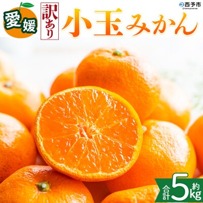 <【訳あり】愛媛県産 小玉みかん 約5kg 小さい こだま 愛媛 えひめ >