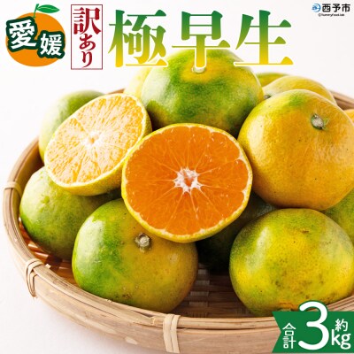 <【訳あり】愛媛県産 極早生 約3kg  訳あり 果物 くだもの フルーツ>