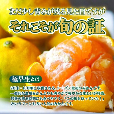 <【訳あり】愛媛県産 極早生 約3kg  訳あり 果物 くだもの フルーツ>
