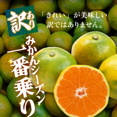 <【訳あり】愛媛県産 極早生 約3kg  訳あり 果物 くだもの フルーツ>